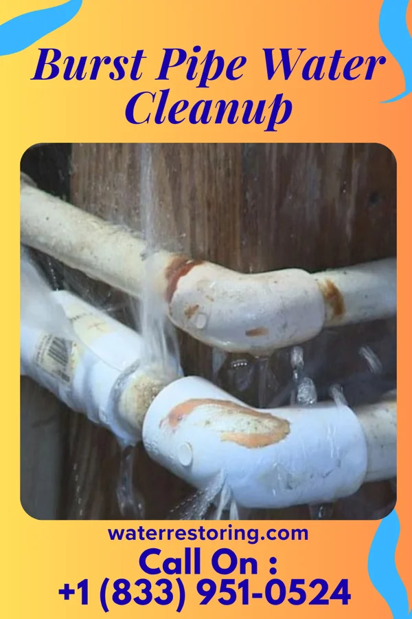Burst Pipe Water Cleanup in Brighton, IL