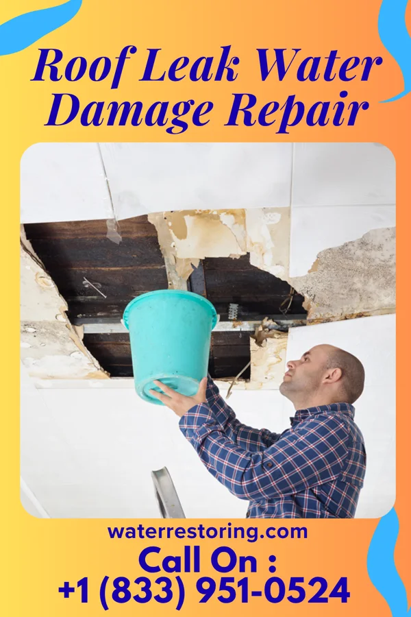 Roof Leak Water Damage Repair in Brighton, IL