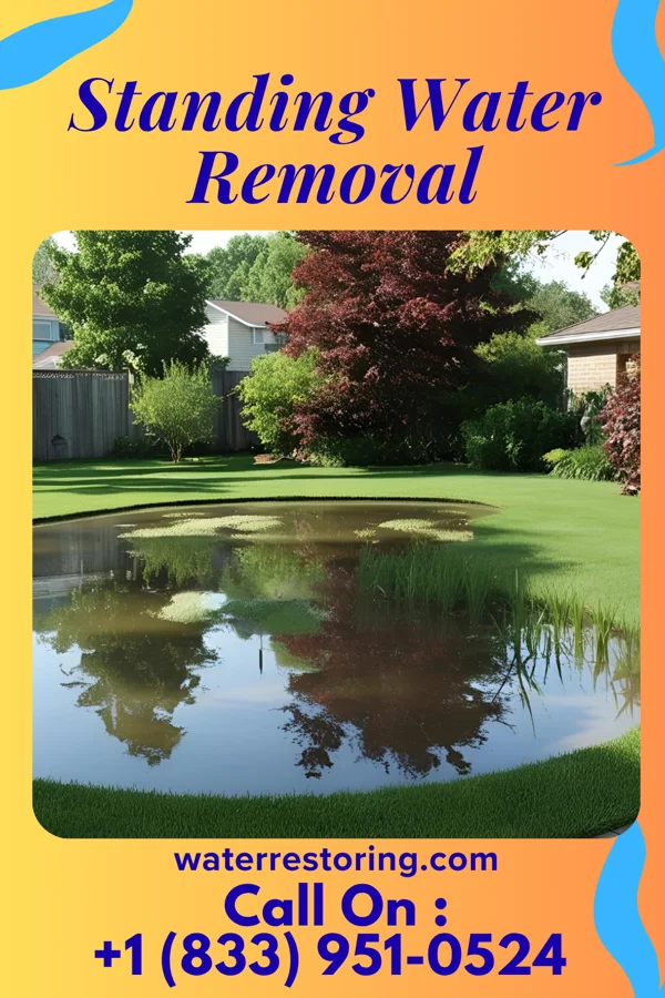 Standing Water Removal in Brighton, IL
